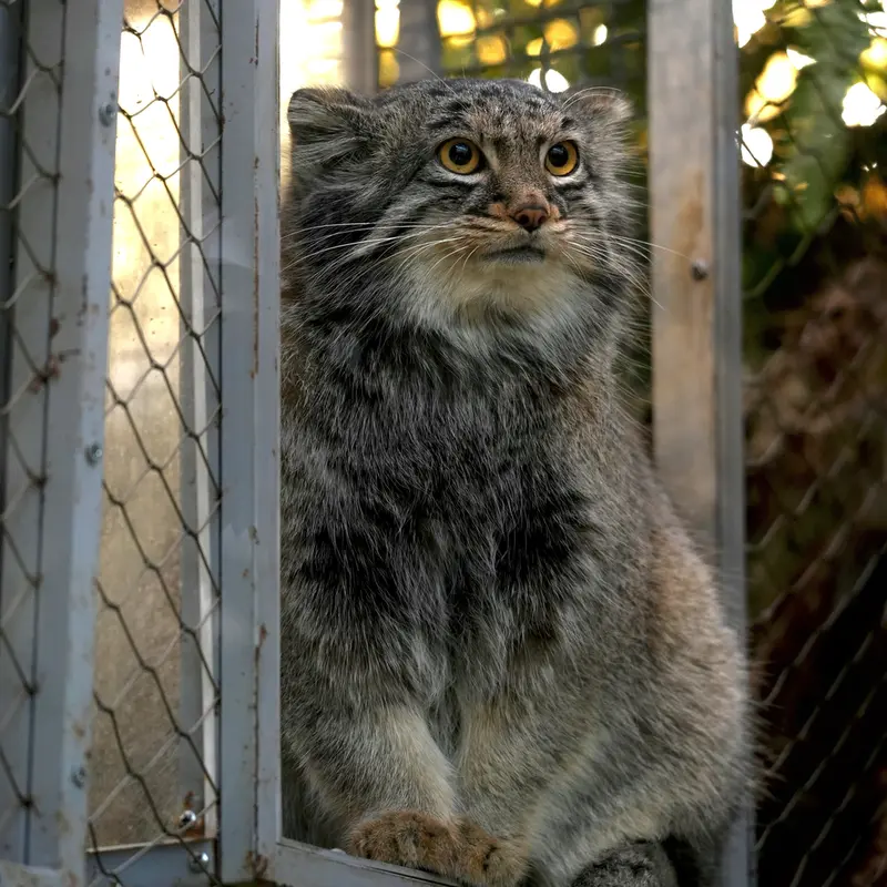 Фотография Мей в Царстве Животных Кобе