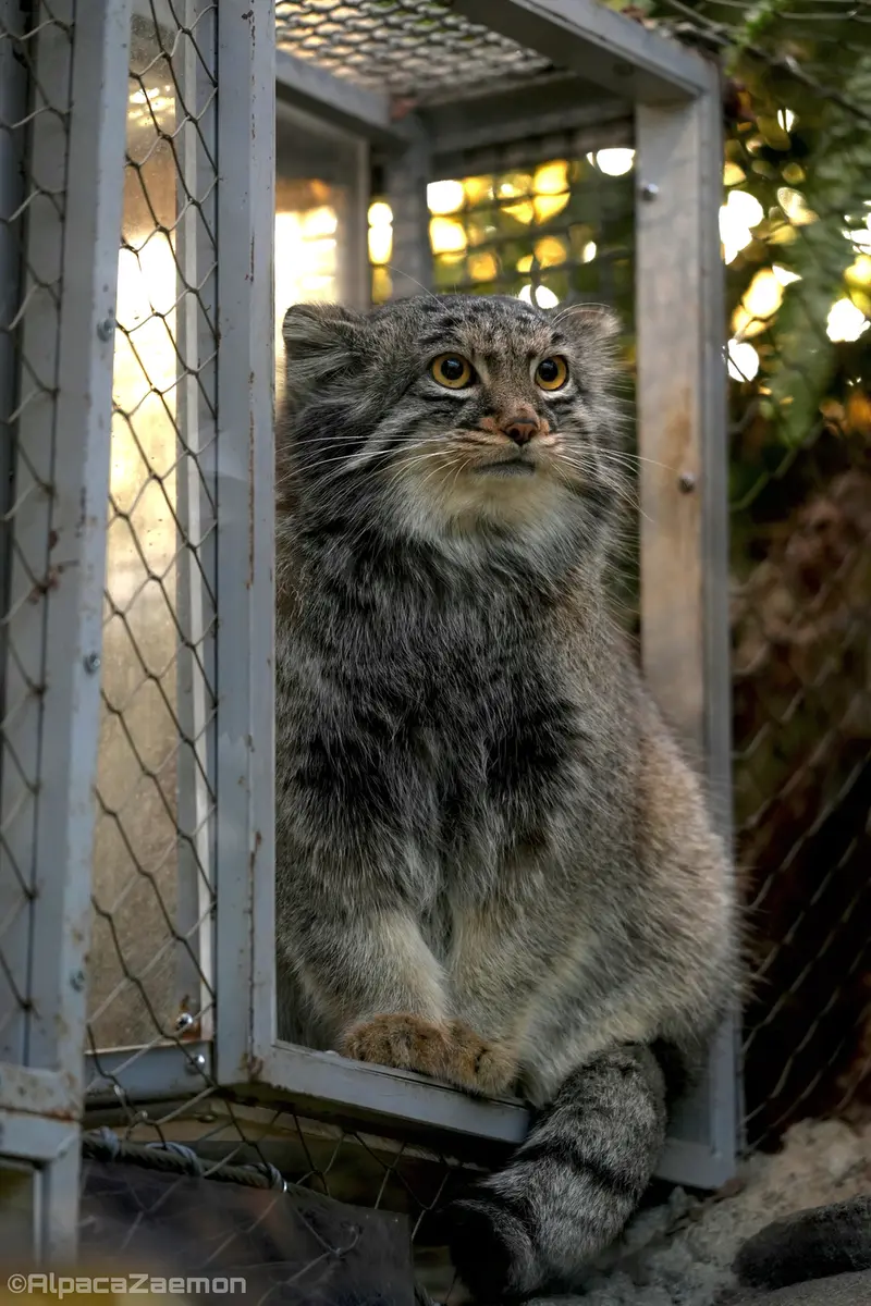 Фотография Мей в Царстве Животных Кобе