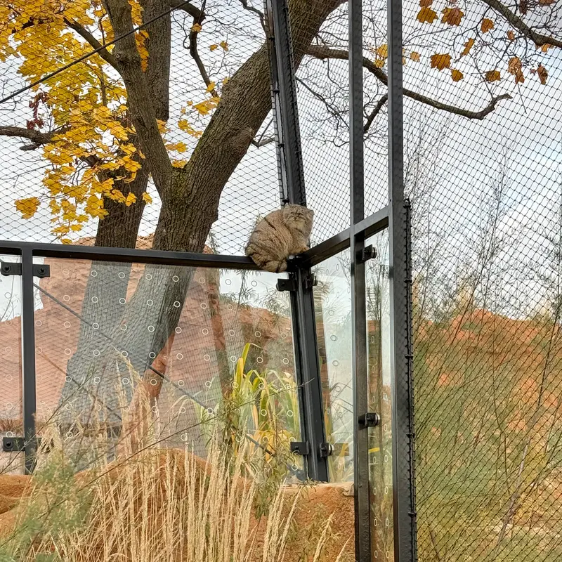 Фотография Принцессы в Пражском Зоопарке