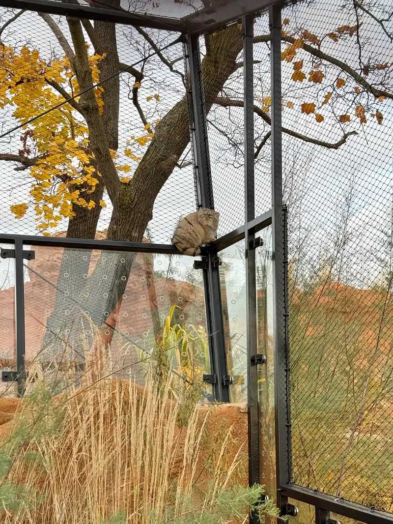 Фотография Принцессы в Пражском Зоопарке