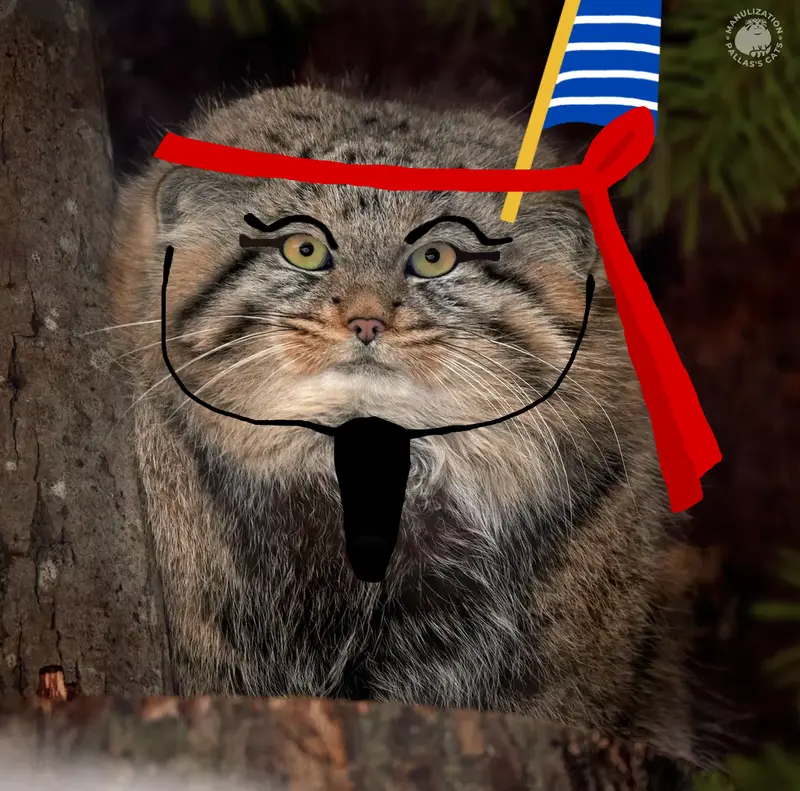 Фотография Шу