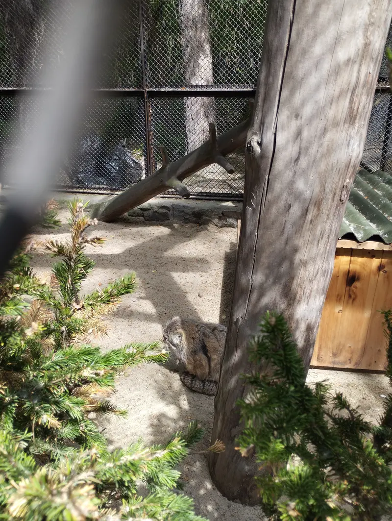 Фотография Зеленогорска в Новосибирском Зоопарке