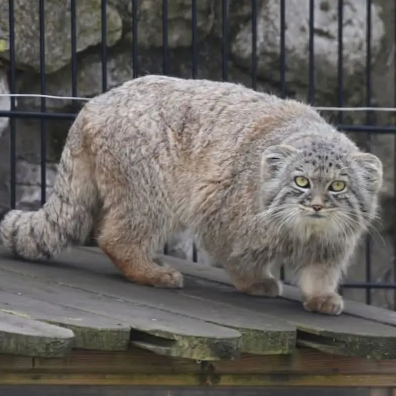 Фотография Аарона в Био-Топия Дюнкерке