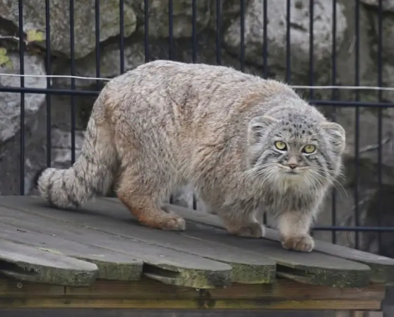 Фотография Аарона в Био-Топия Дюнкерке