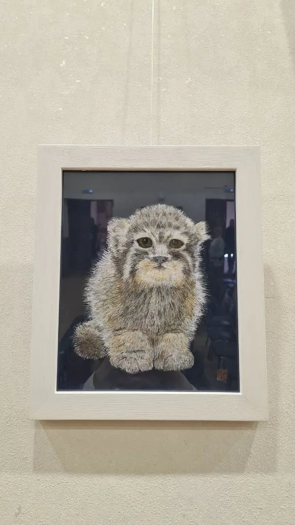 Фотография с манулом