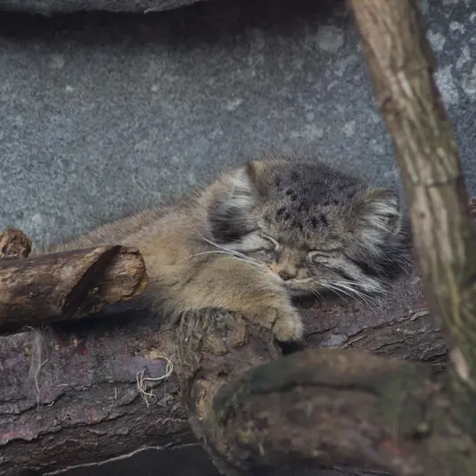 Фотография Павла в Зоопарке и аквариуме Колумбуса