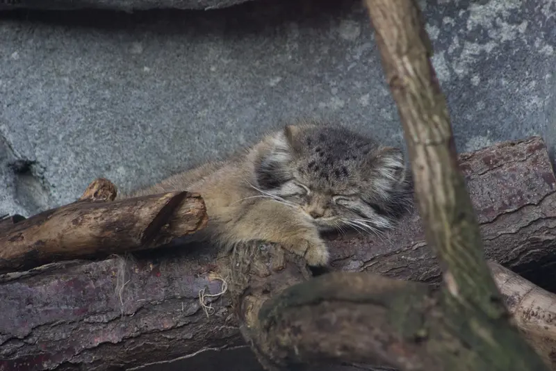 Фотография Павла в Зоопарке и аквариуме Колумбуса