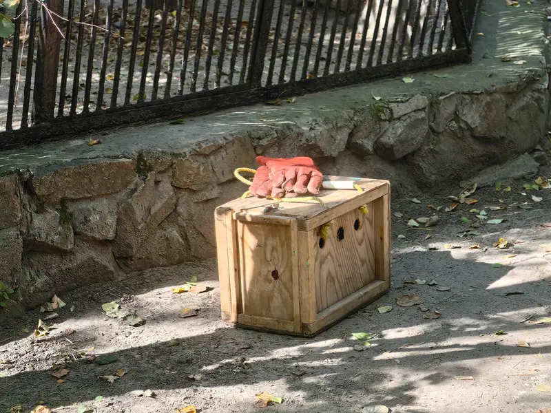 Фотография с манулом в Новосибирском Зоопарке