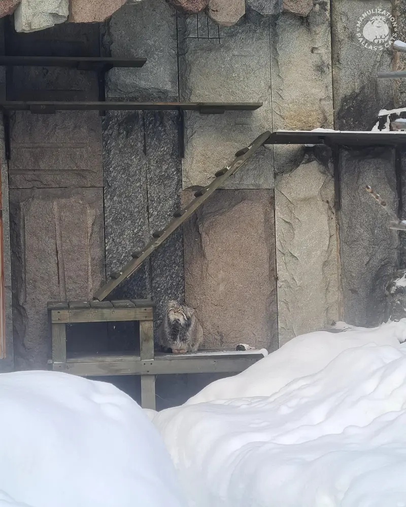 Фотография Тимофея в Московском Зоопарке