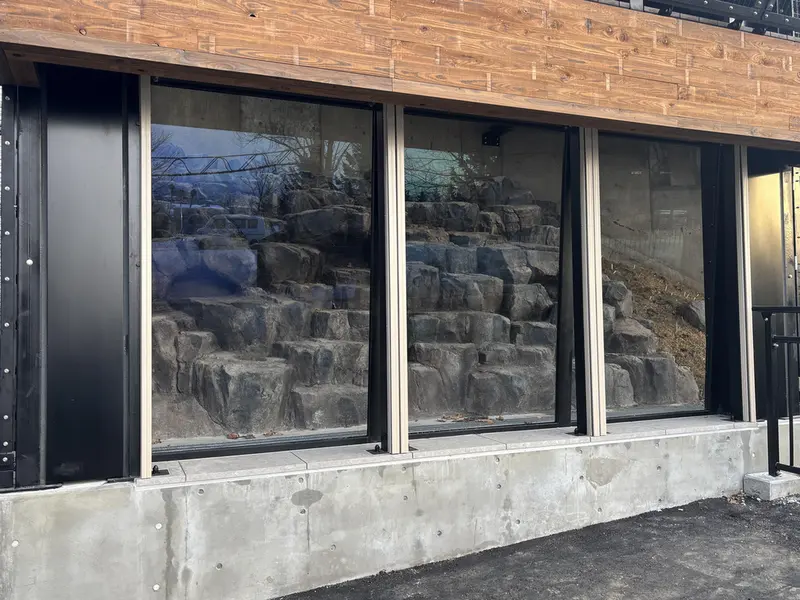 Фотография с манулом в Зоопарке Асахияма