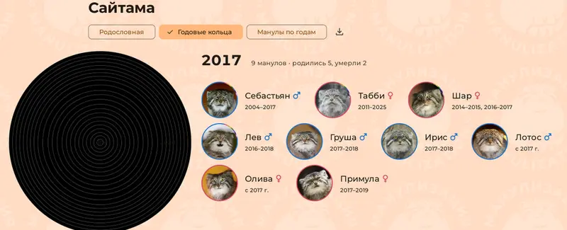 Фотография с манулом
