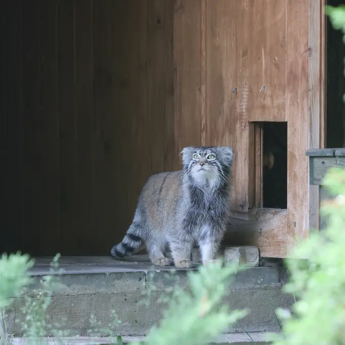 Фотография Тимофея в Московском Зоопарке