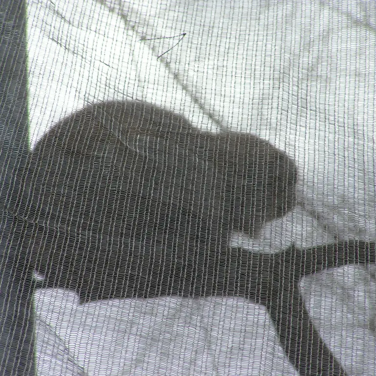 Фотография Бат-Эрдэнэ в Лэйклэнде Вайлдлайф Оазисе