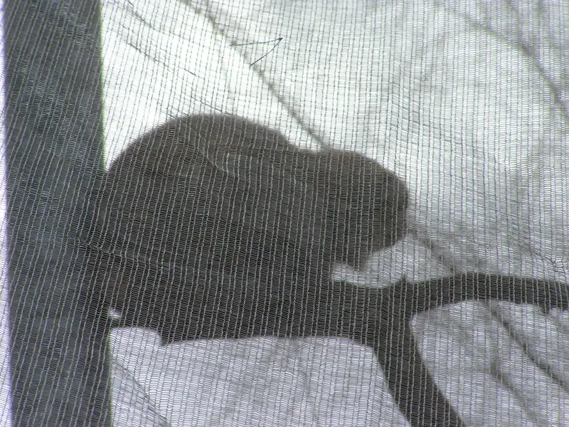 Фотография Бат-Эрдэнэ в Лэйклэнде Вайлдлайф Оазисе