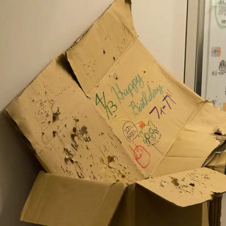 Фотография Фиги в Зоопарке Ногеяме