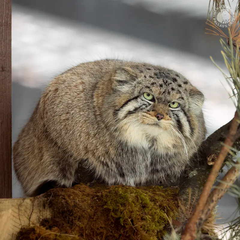 Фотография Бориса в Роевом ручье