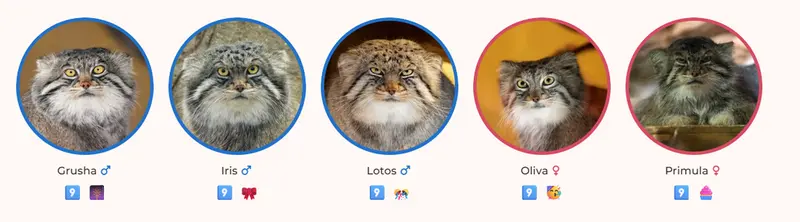 Фотография Груши, Ириса, Лотоса, Оливы, и Примулы