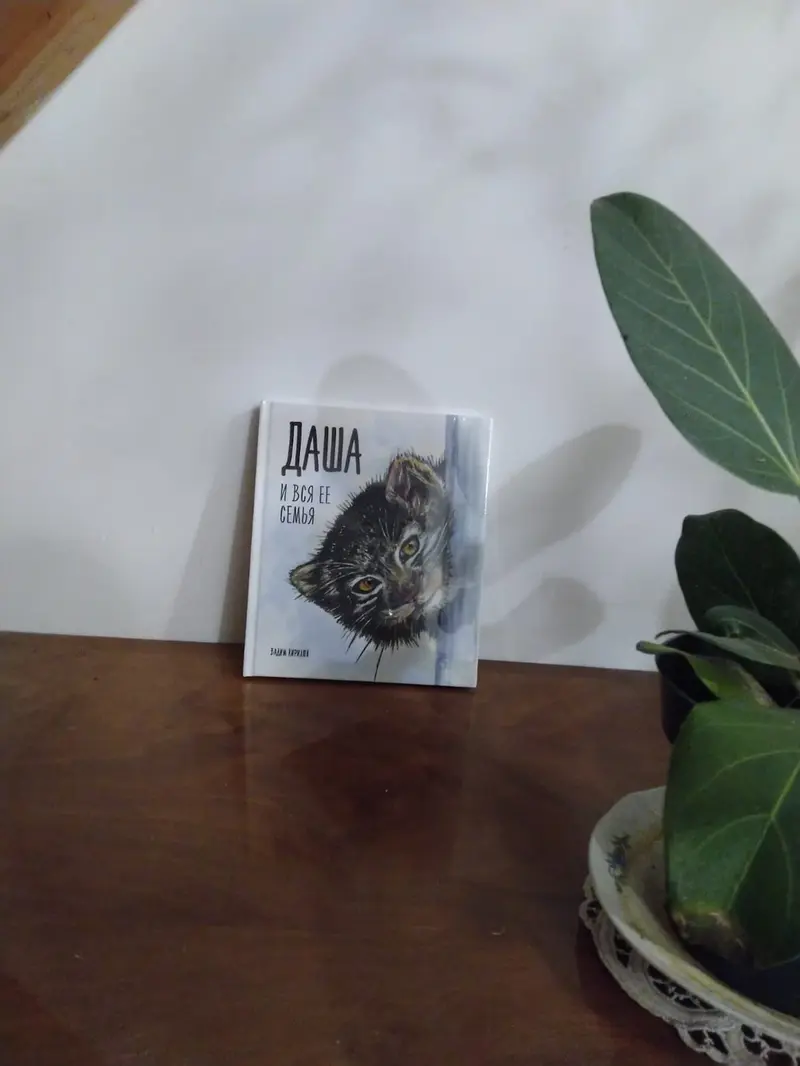 Фотография с манулом