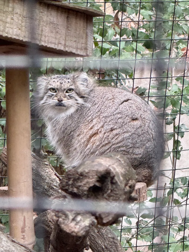 Фотография Акар в Смитсоновском Национальном Зоопарке
