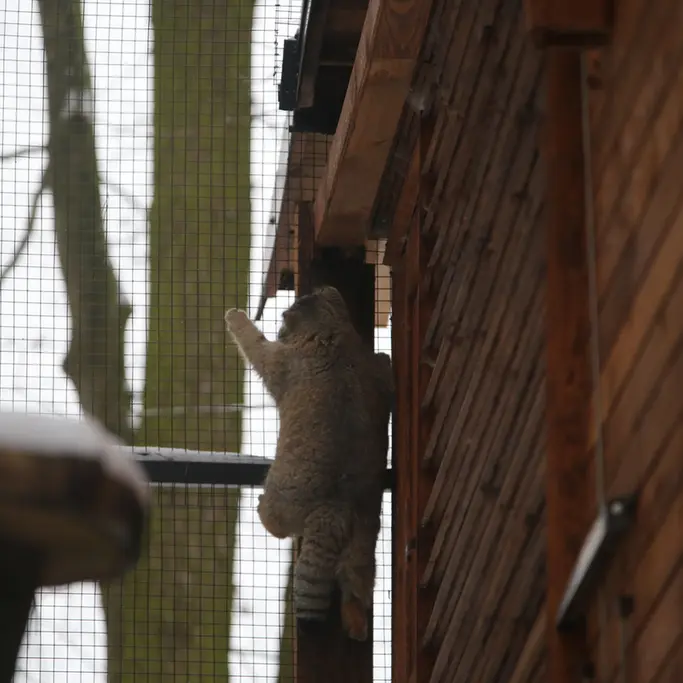 Фотография Улы в Гданском Зоопарке