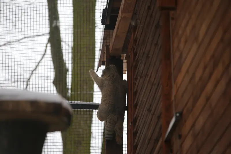 Фотография Улы в Гданском Зоопарке