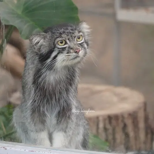 Фотография Мей в Царстве Животных Кобе