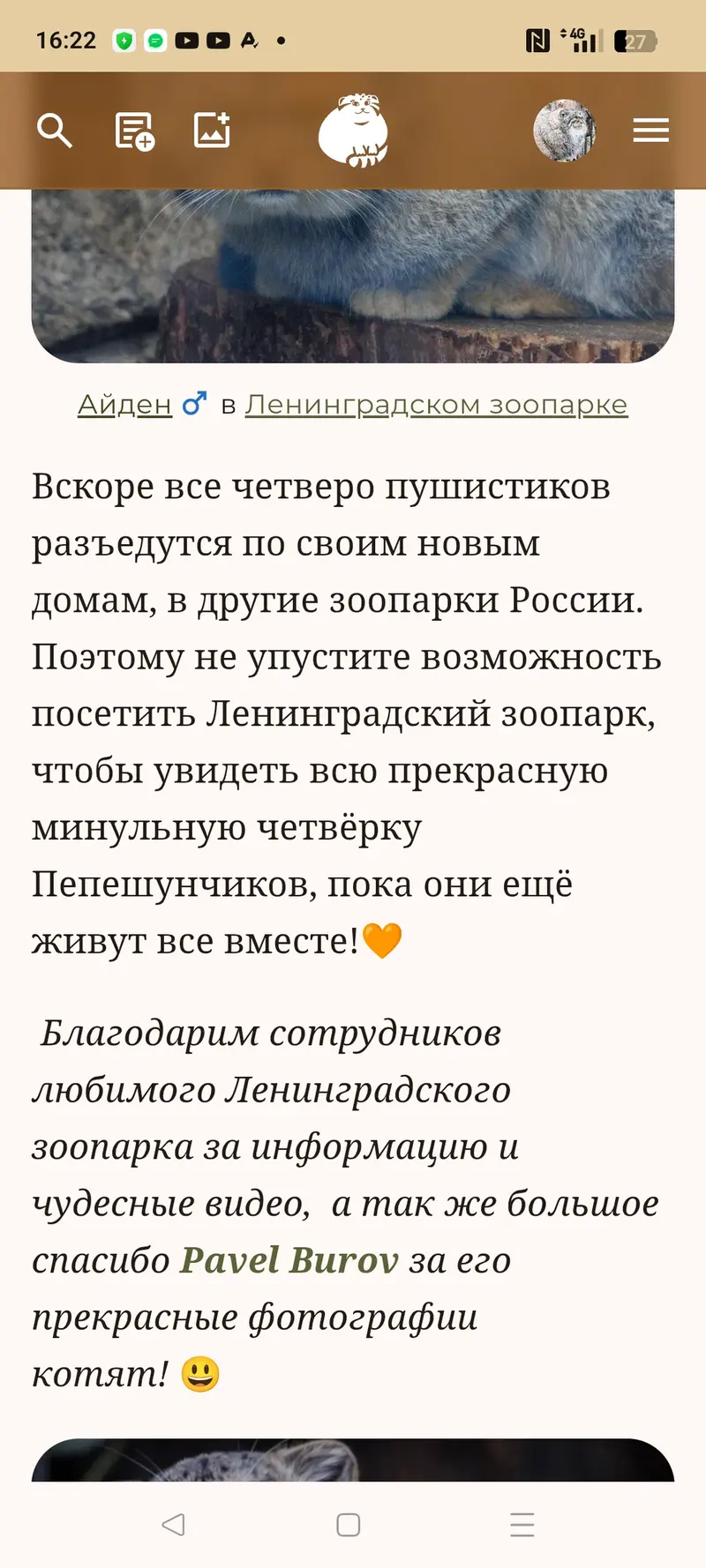 Фотография Айдена и Аксы