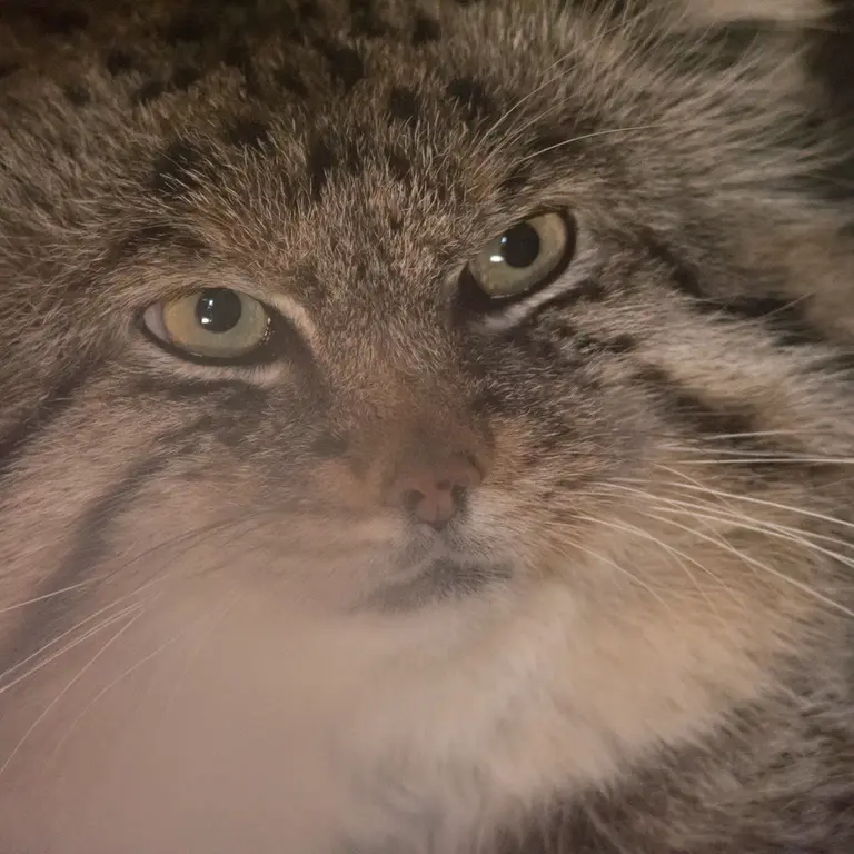 Фотография Лотоса в Детском зоопарке Сайтама