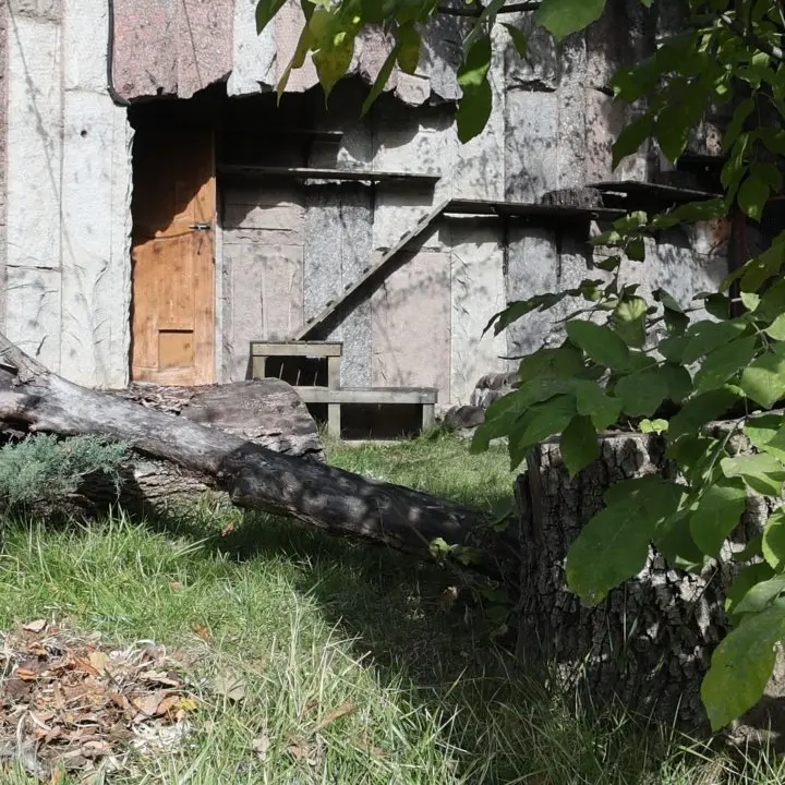 Фотография Тимофея в Московском зоопарке