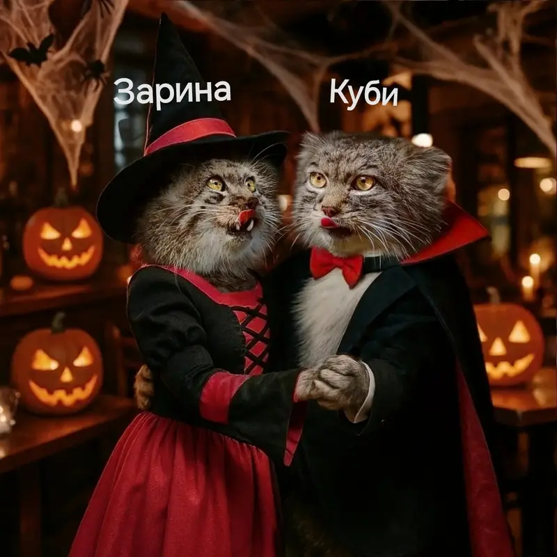 Фотография с манулом