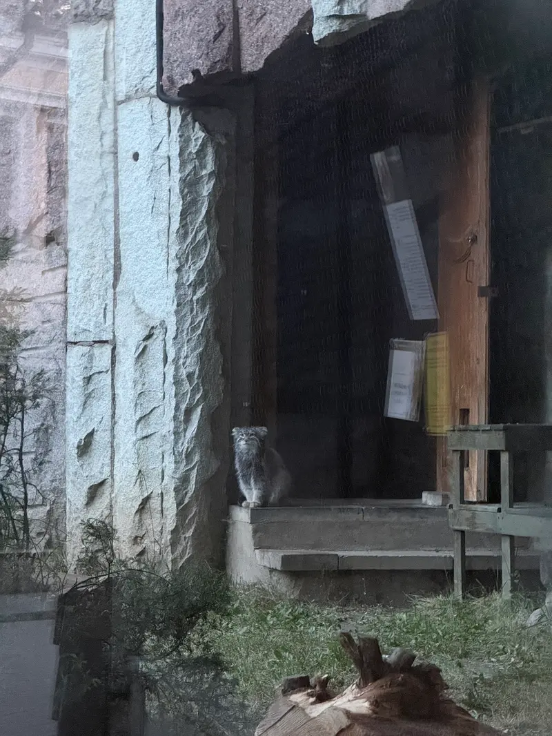 Фотография Тимофея в Московском Зоопарке