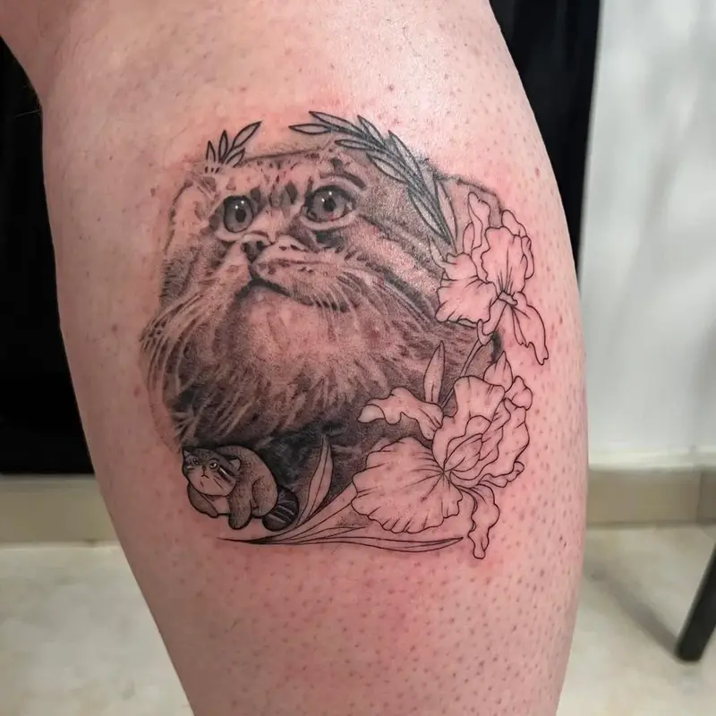 Фотография с манулом