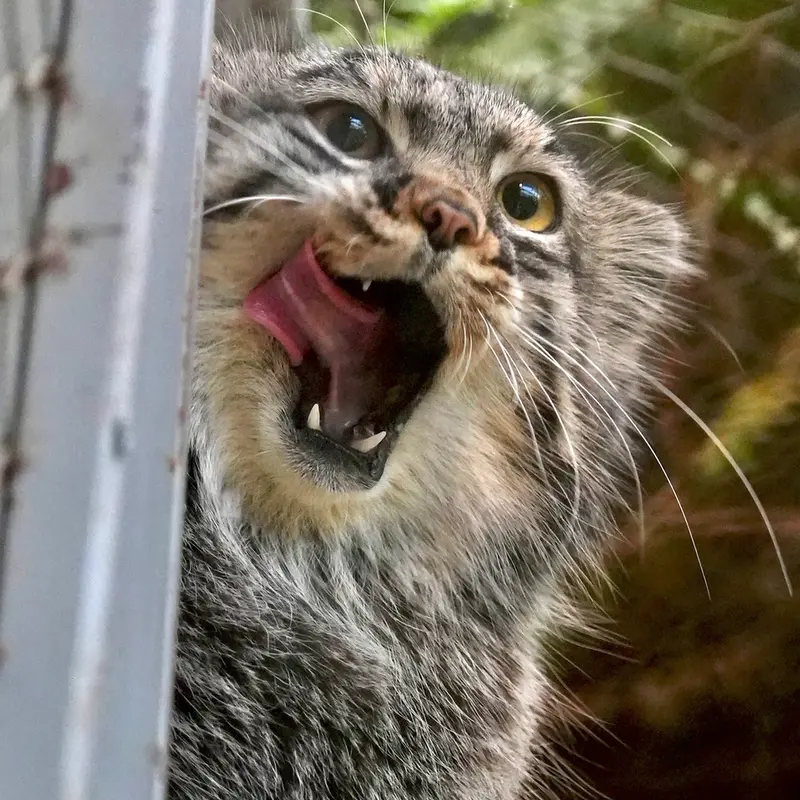Фотография Мей в Царстве Животных Кобе