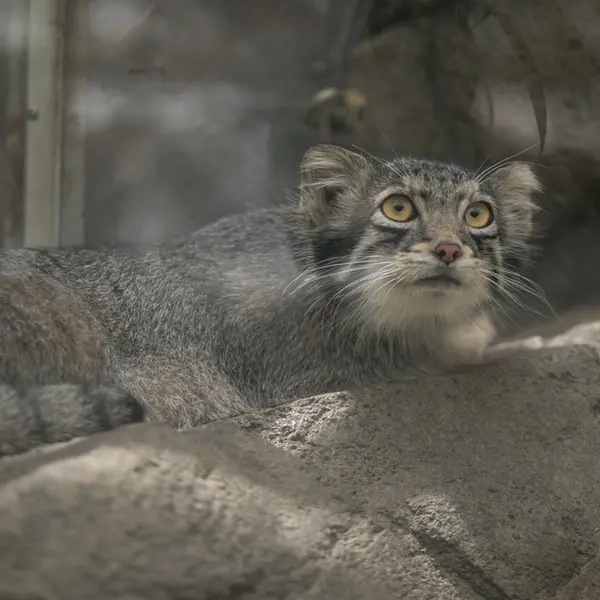 Фотография Ото в Царстве Животных Кобе