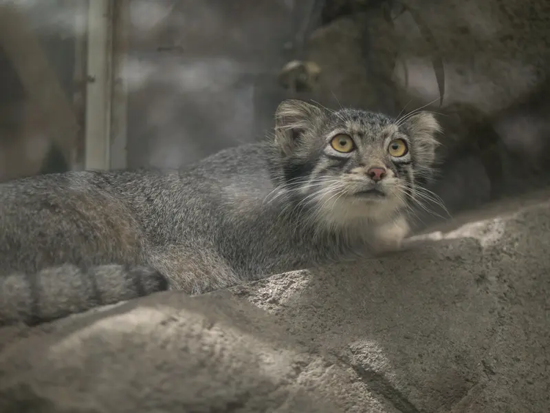 Фотография Ото в Царстве Животных Кобе