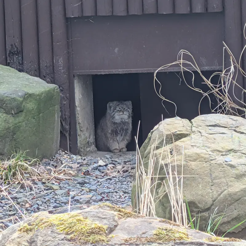 Фотография Плутона в Остравском Зоопарке