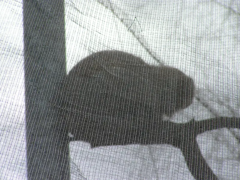 Фотография Бат-Эрдэнэ в Лэйклэнде Вайлдлайф Оазисе