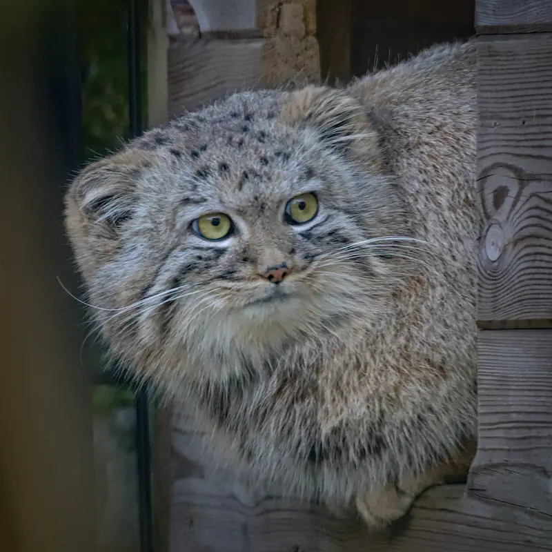 Фотография Аарона в Био-Топия Дюнкерке