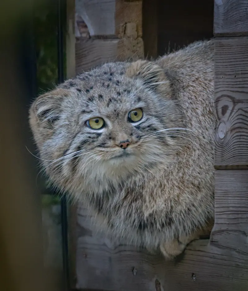 Фотография Аарона в Био-Топия Дюнкерке