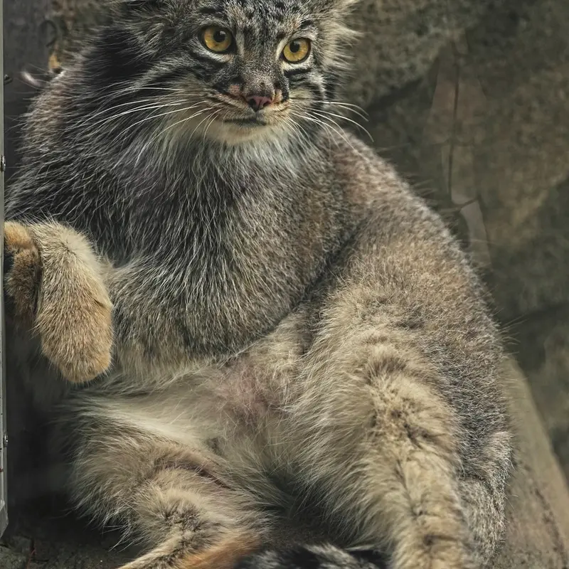 Фотография Мей в Царстве Животных Кобе