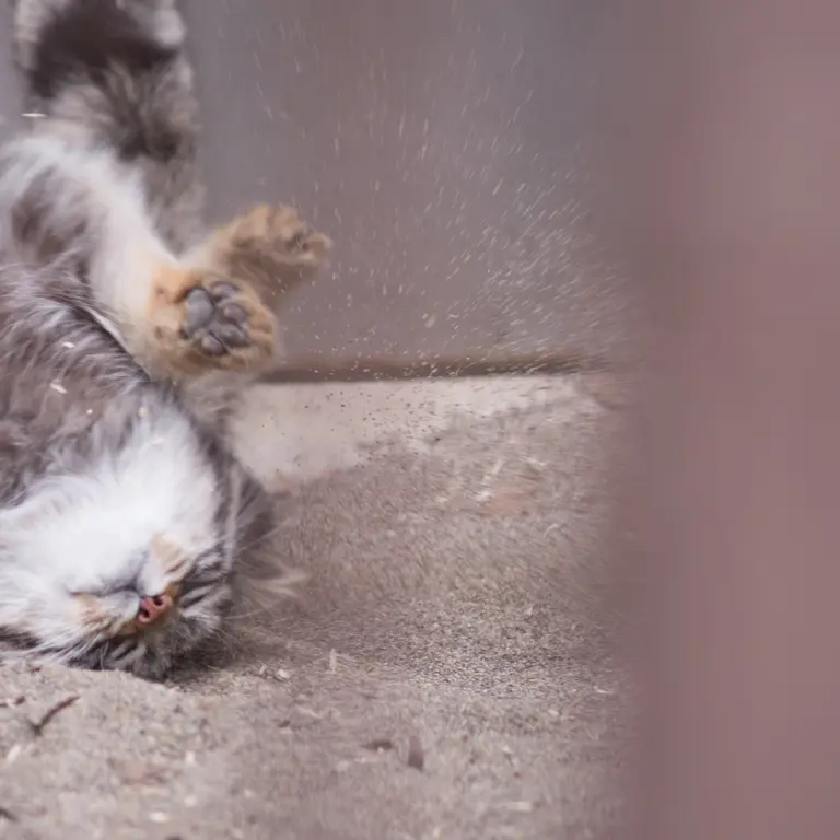 Фотография Фиги в Зоопарке Ногеяме