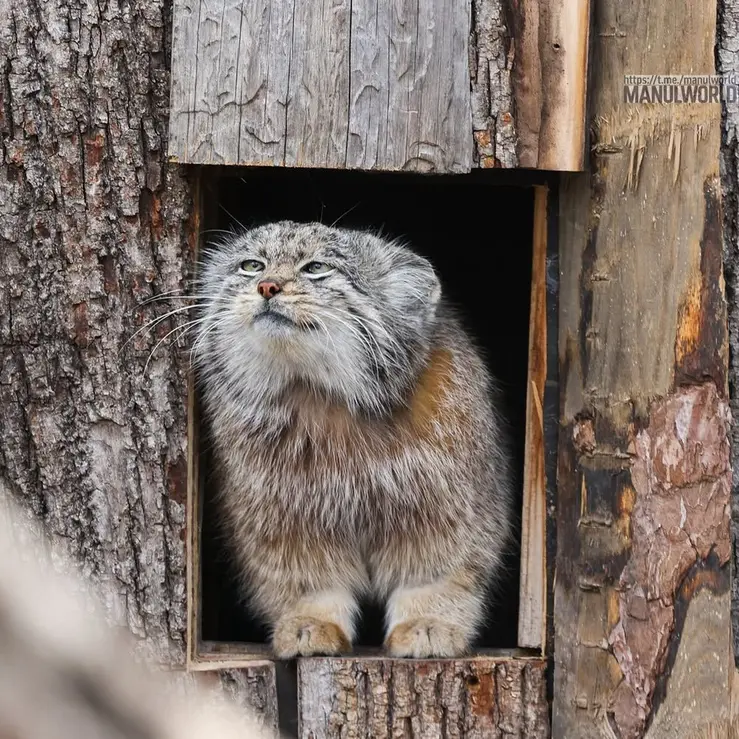 Фотография Кая в Зоопарке Красная река