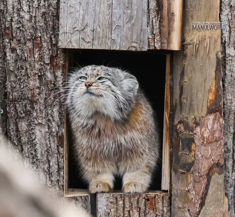 Фотография Кая в Зоопарке Красная река