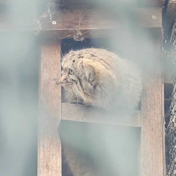 Фотография Люси в Будапештском Зоопарке