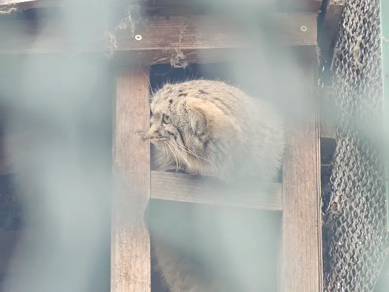 Фотография Люси в Будапештском Зоопарке