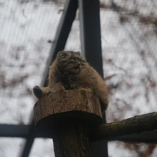 Фотография Улы в Гданском Зоопарке