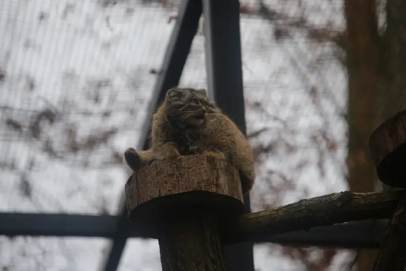 Фотография Улы в Гданском Зоопарке