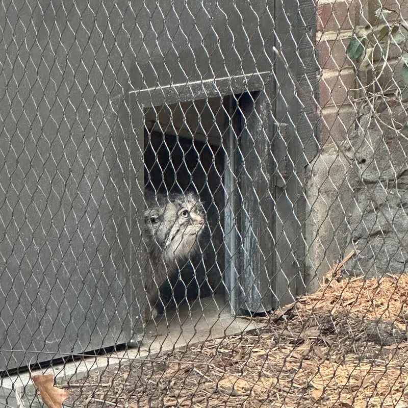 Фотография Сарнай в Зоопарке Проспект-парка