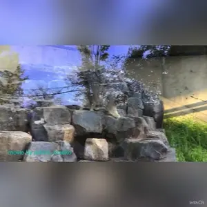 Фотография Груши в Зоопарке Асахияма