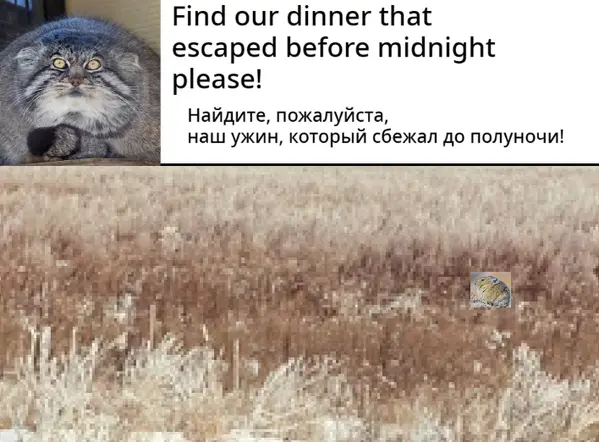 Фотография Груши